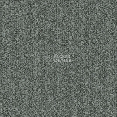 Ковровая плитка Modulyss Millennium Nxtgen Millennium Nxtgen 900 фото 1 | FLOORDEALER